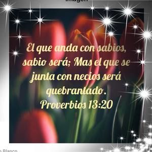 Meet your Posher, Noelia